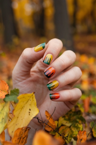 Autumn Forest Scene